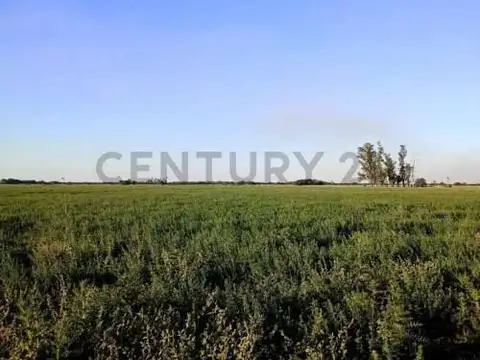 Campo en Venta de 0,01  ha