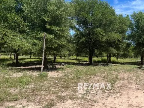 Quinta N 28, Sección B, Circunscripción XIX, de la localidad de Pampa Almiron departamento Libertador General San Martín, Provincia del Chaco, 100