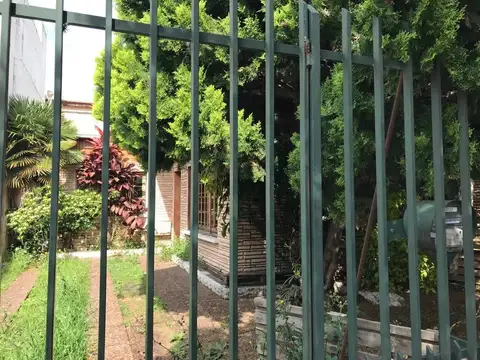 Basualdo 1000
