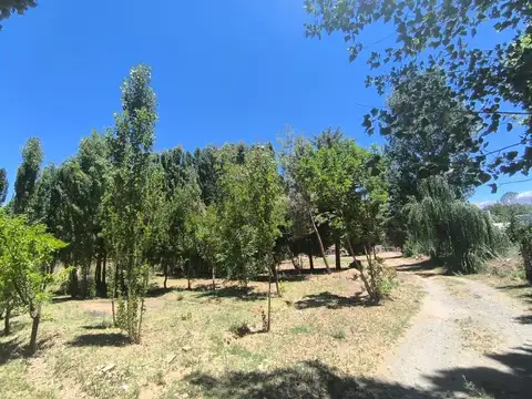 Terreno en Venta en Uspallata, USD 120.000