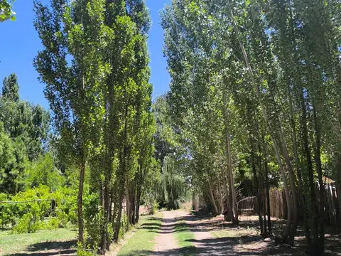 Ruta Nacional 7