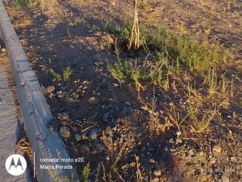 Terreno en Plottier