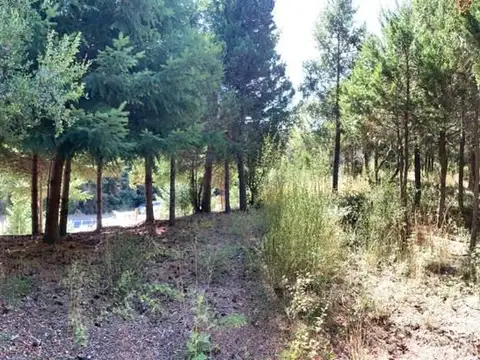 Terreno en Venta de 3080,0 m2
