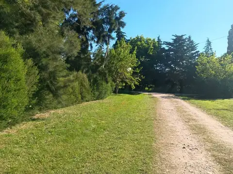 CALLE 697 E/ 132 Y 133 | VENTA LOTE EN IGNACIO CORREAS