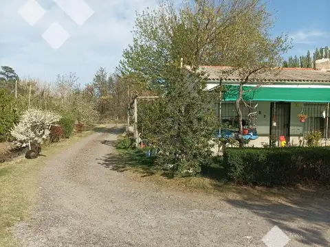 Venta 4.8 Hectáreas con CASA - Cipolletti - Rio Negro