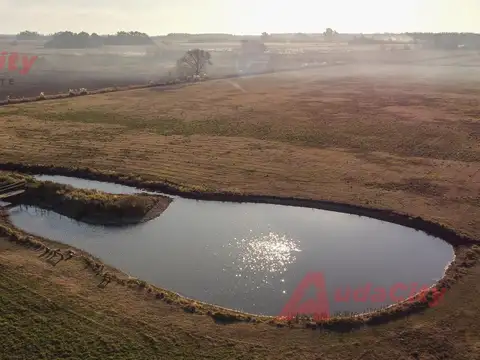 VENTA CAMPO CHACRA 22 HECTAREAS SAN ANDRES DE GILES