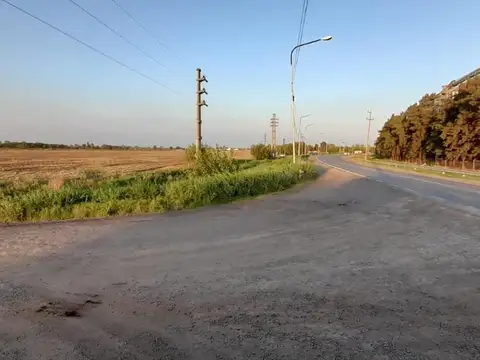 CAMPO SOBRE RUTA A012 SAN LORENZO/ RICARDONE