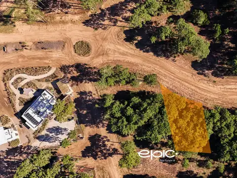 Terreno en Venta de 1239,0 m2