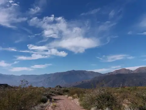 Terreno en Venta de 530,0 m2