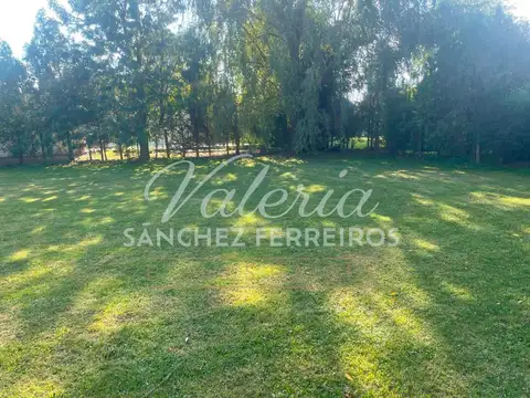Terreno en Venta de 980,0 m2