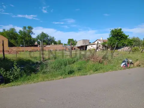 Bianca Fiore , Piso 0