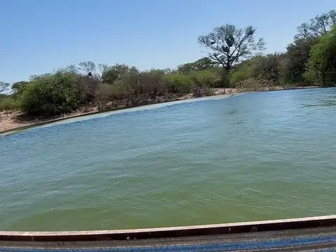 Campo en venta - 12.000.000Mts2 - Santiago del Estero