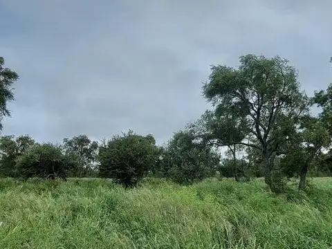 Campo en Venta en Santiago del Estero, Capital