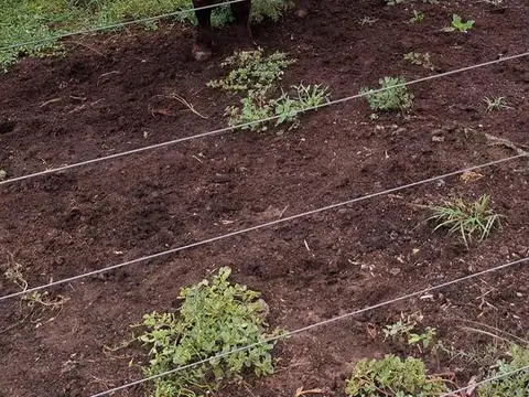 Campo en venta - 12.000.000Mts2 - Santiago del Estero