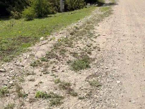 Terreno en Venta de 1274,0 m2