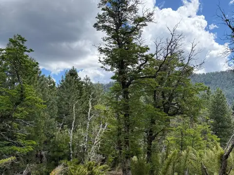 FINA PATAGONIA. Lote en venta de 1274m2 ubicado en San Martin de los Andes