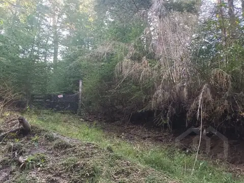 Lote venta Villa La Angostura en Loteo Bandurrias Vista Parcial al lago