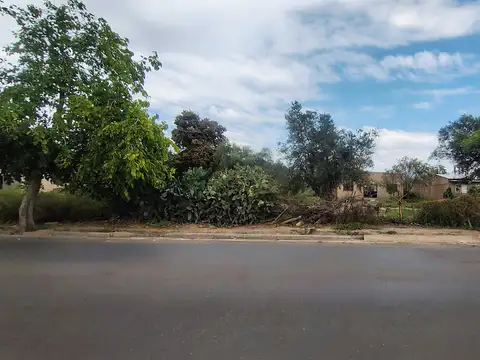 Terreno en Venta de 5000,0 m2