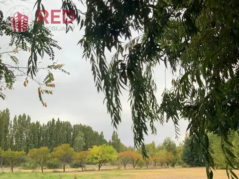 Vende Chacra 4 Hectareas en Senillosa