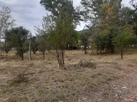 El Mirador 100