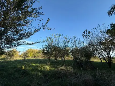 Quinta - Venta - Argentina, Lobos