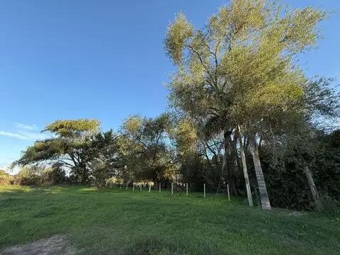 Quinta - Venta - Argentina, Lobos