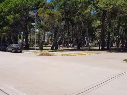 REBAGLIATI 100