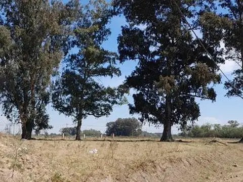 Terreno en Venta de 300,0 m2