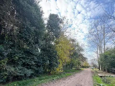 Terreno en Venta en Cañuelas, USD 30.000