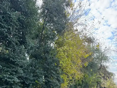 Terreno en Venta de 750,0 m2