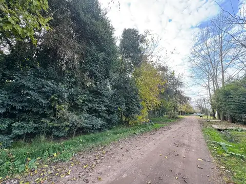 San Martin - Villa Adriana