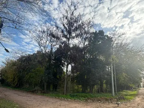 LOTES-TERRENOS EN VILLA ADRIANA CAÑUELAS