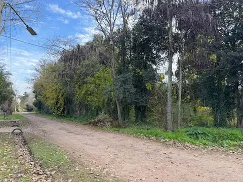 San Martin - Villa Adriana