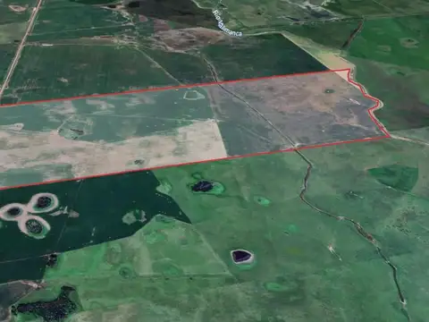 Campo de 280 ha en General Alvear – Apto agrícola ganadero