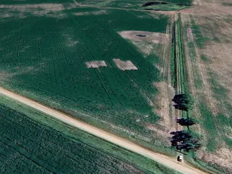 Campo de 380 ha en General Alvear – Apto agrícola ganadero