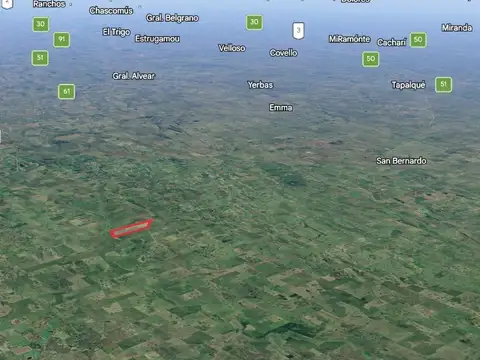 Campo de 280 ha en General Alvear – Apto agrícola ganadero