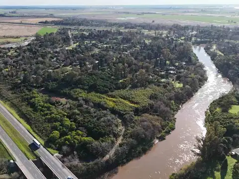 Vicente Lopez y Planes
