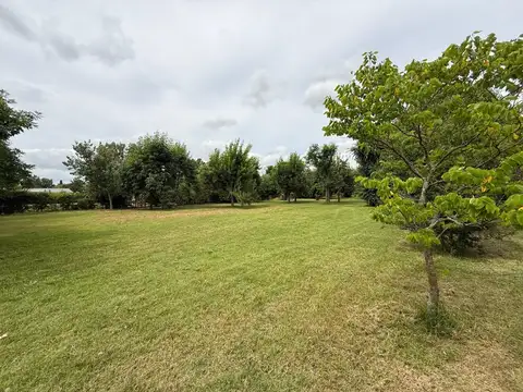 El Tordillo 500