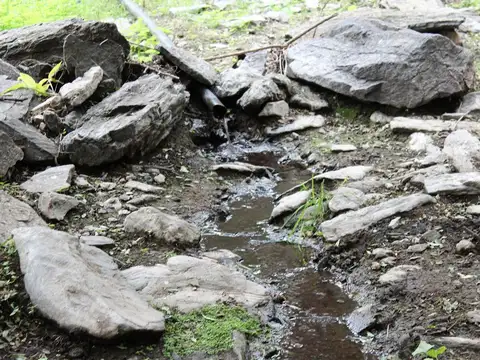 Campo en Venta en Lafinur, Junín
