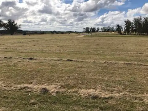 Terreno - Venta - Uruguay, LA BARRA