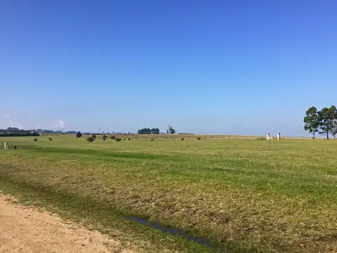 Terreno en Venta en Punta del Este, USD 65.000