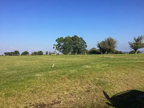 Terreno en Venta de 5000,0 m2