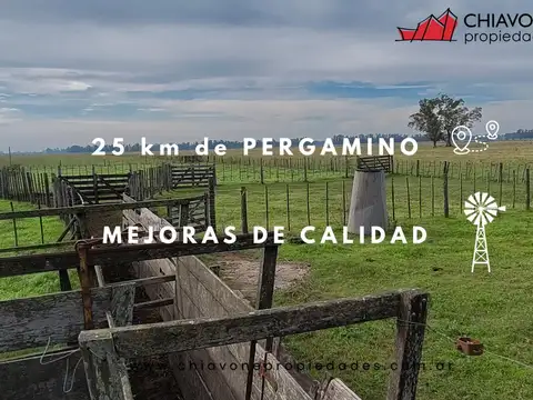 Campo en Venta de 360  ha