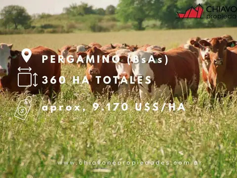 ESTANCIA GANADERA EN PRODUCCIÓN – 360 HA TRANQUERA CERRADA