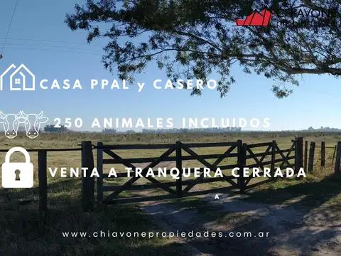 Ruta Nac. N°8 200
