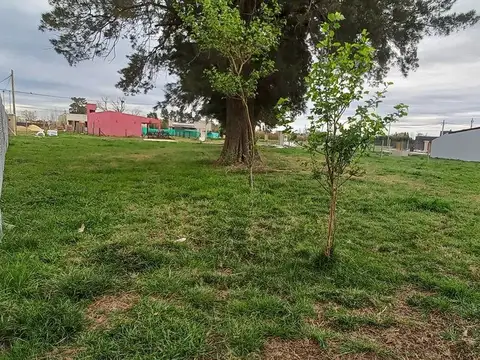 LOTE EN VENTA PEHUEN VILLAGE CAÑUELAS  ARBOLADO