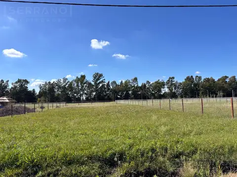 Terreno en Venta 50  mts Fondo