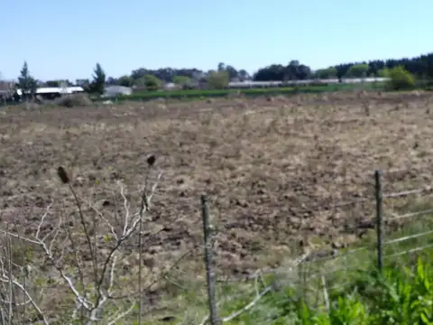 56 entre 221 y 223 Echeverrí La Plata