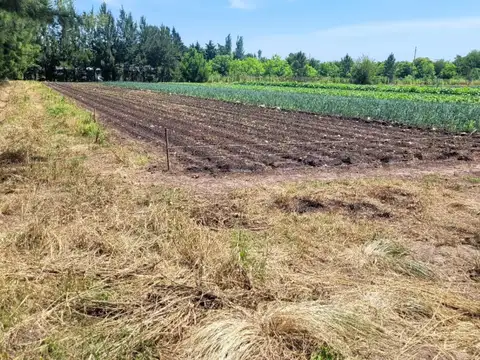 Quinta en Venta en Lisandro Olmos Etcheverry, USD 150.000