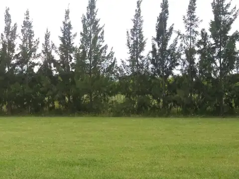 56 entre 221 y 223 Echeverrí La Plata